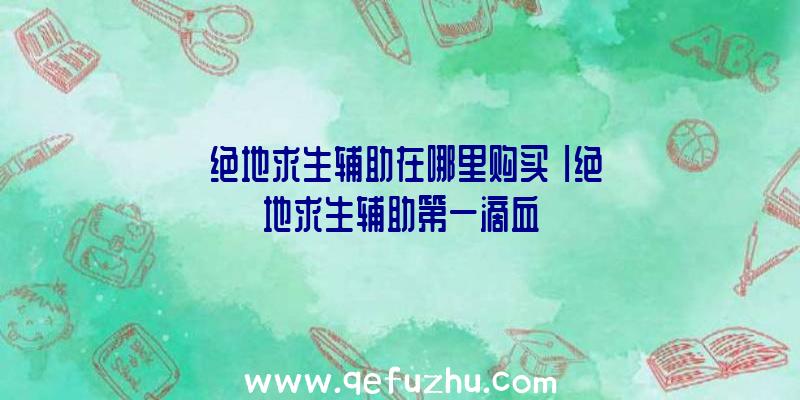 「绝地求生辅助在哪里购买」|绝地求生辅助第一滴血